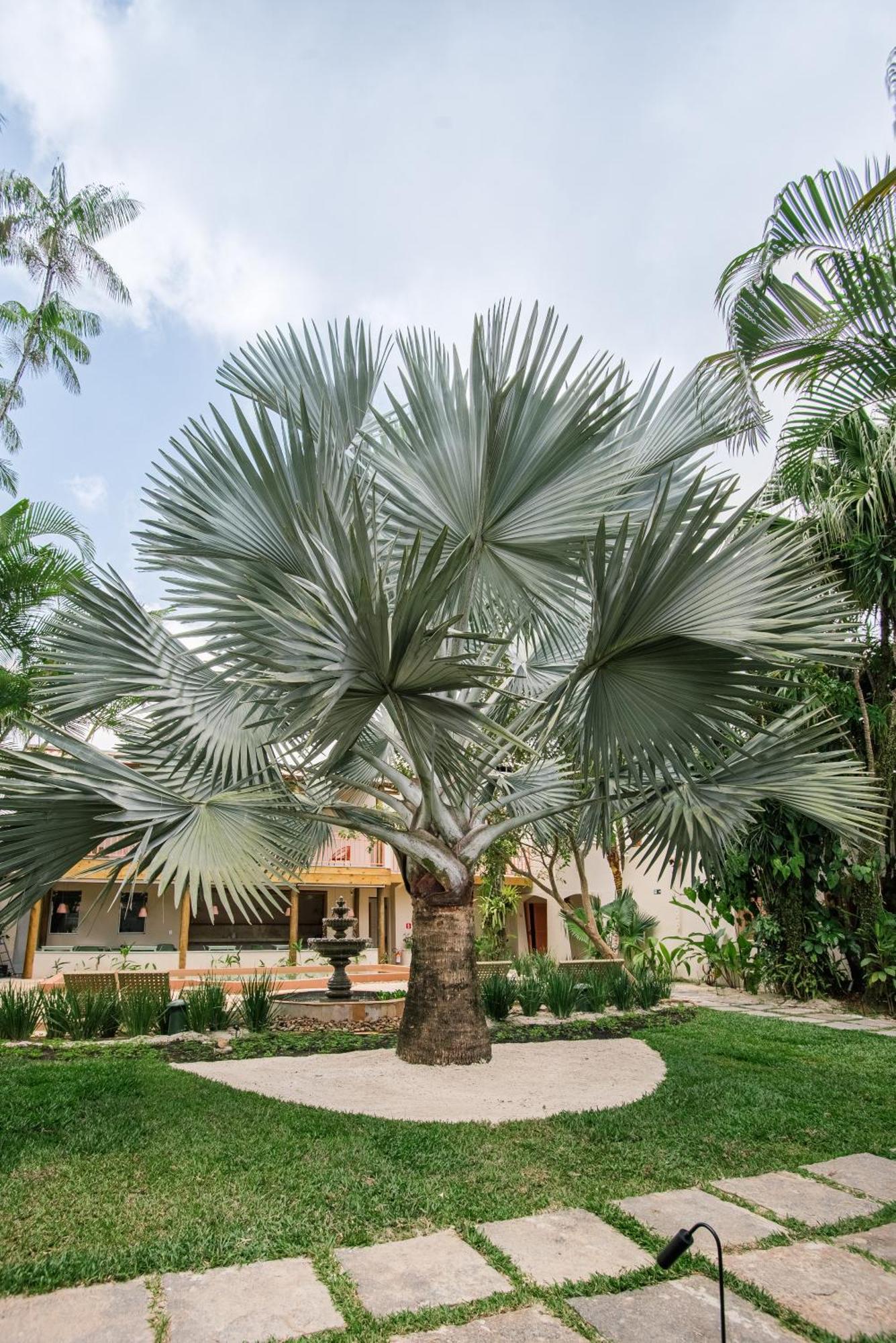 Pousada Pazuu Ubatuba Exterior foto